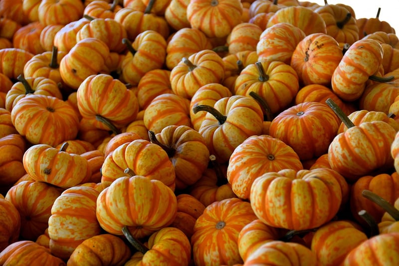 Harvesting Image